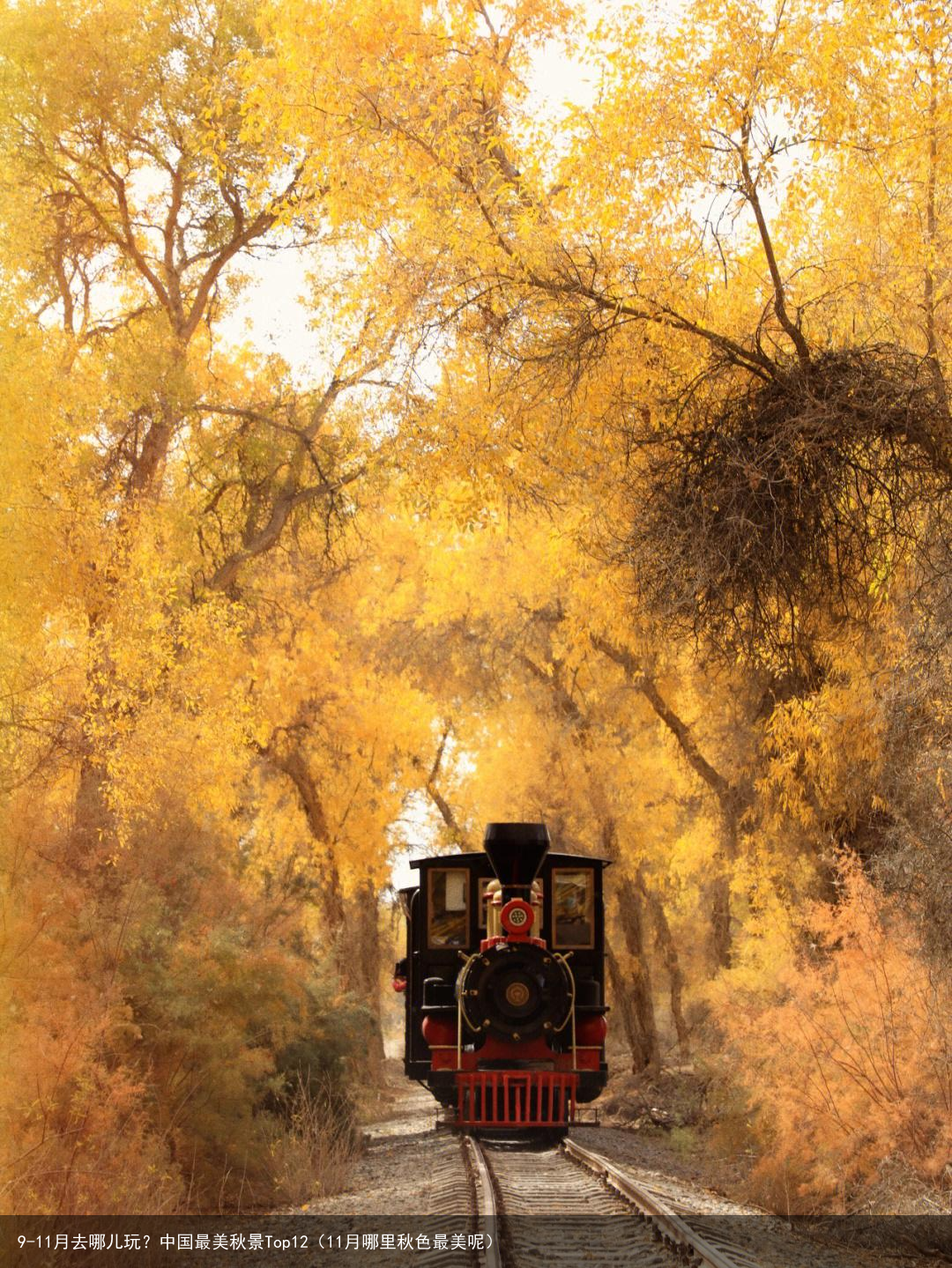 9-11月去哪儿玩？中国最美秋景Top12（11月哪里秋色最美呢）