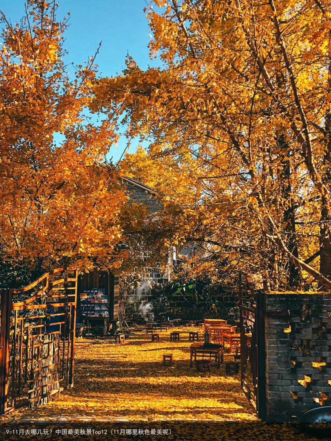 9-11月去哪儿玩？中国最美秋景Top12（11月哪里秋色最美呢）