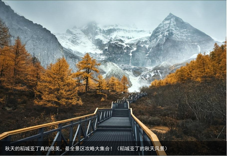 秋天的稻城亚丁真的很美，最全景区攻略大集合！（稻城亚丁的秋天风景）