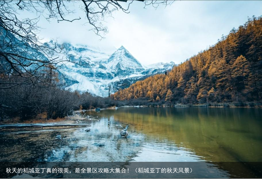 秋天的稻城亚丁真的很美，最全景区攻略大集合！（稻城亚丁的秋天风景）