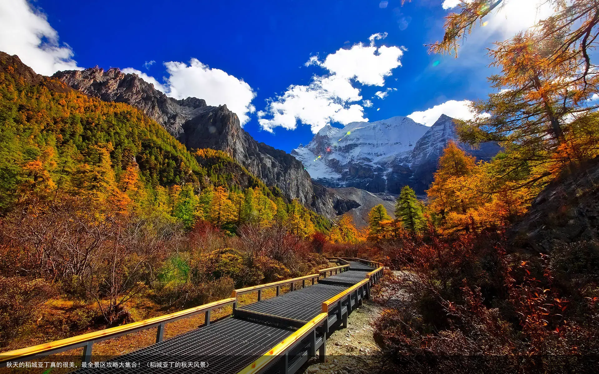 秋天的稻城亚丁真的很美，最全景区攻略大集合！（稻城亚丁的秋天风景）