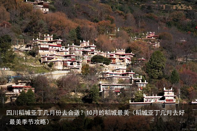 四川稻城亚丁几月份去合适？10月的稻城最美（稻城亚丁几月去好,最美季节攻略）