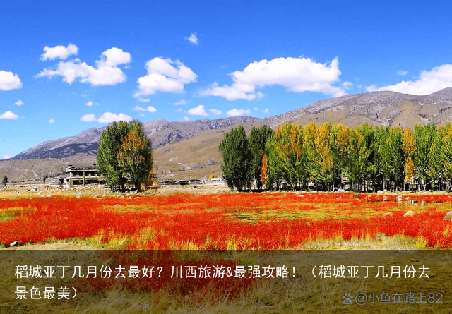 稻城亚丁几月份去最好？川西旅游&最强攻略！（稻城亚丁几月份去景色最美）