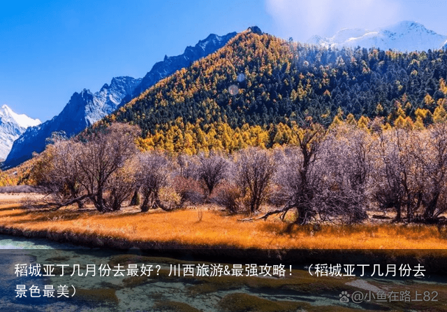 稻城亚丁几月份去最好？川西旅游&最强攻略！（稻城亚丁几月份去景色最美）