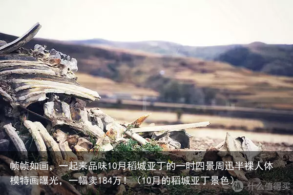 帧帧如画，一起来品味10月稻城亚丁的一时四景（10月的稻城亚丁景色）