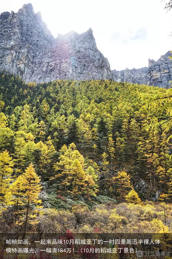 帧帧如画，一起来品味10月稻城亚丁的一时四景（10月的稻城亚丁景色）