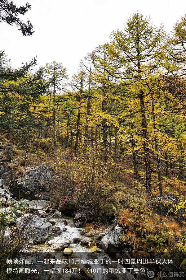 帧帧如画，一起来品味10月稻城亚丁的一时四景（10月的稻城亚丁景色）