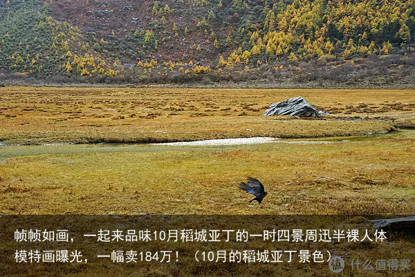 帧帧如画，一起来品味10月稻城亚丁的一时四景（10月的稻城亚丁景色）