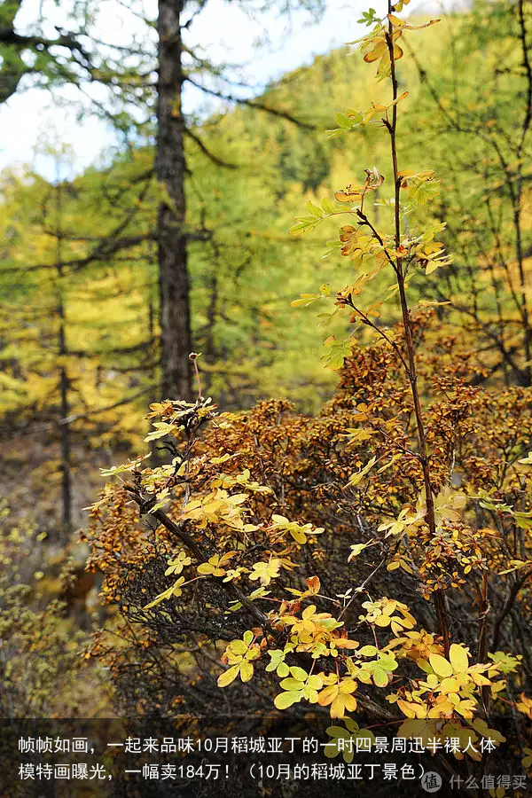 帧帧如画，一起来品味10月稻城亚丁的一时四景（10月的稻城亚丁景色）