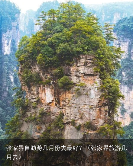 张家界自助游几月份去最好？（张家界旅游几月去）