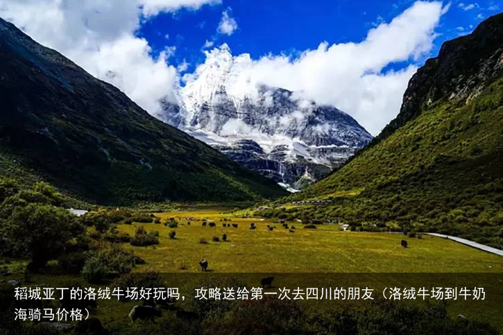 稻城亚丁的洛绒牛场好玩吗，攻略送给第一次去四川的朋友（洛绒牛场到牛奶海骑马价格）