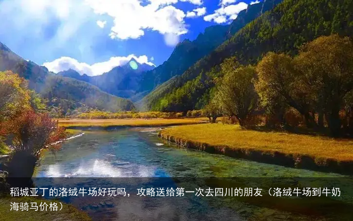 稻城亚丁的洛绒牛场好玩吗，攻略送给第一次去四川的朋友（洛绒牛场到牛奶海骑马价格）