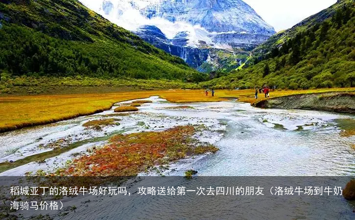 稻城亚丁的洛绒牛场好玩吗，攻略送给第一次去四川的朋友（洛绒牛场到牛奶海骑马价格）
