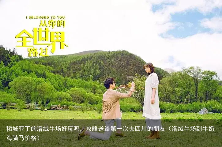 稻城亚丁的洛绒牛场好玩吗，攻略送给第一次去四川的朋友（洛绒牛场到牛奶海骑马价格）