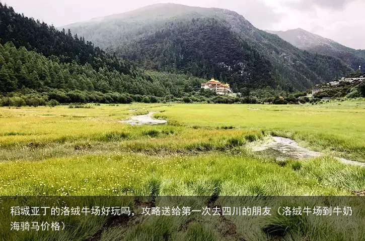 稻城亚丁的洛绒牛场好玩吗，攻略送给第一次去四川的朋友（洛绒牛场到牛奶海骑马价格）