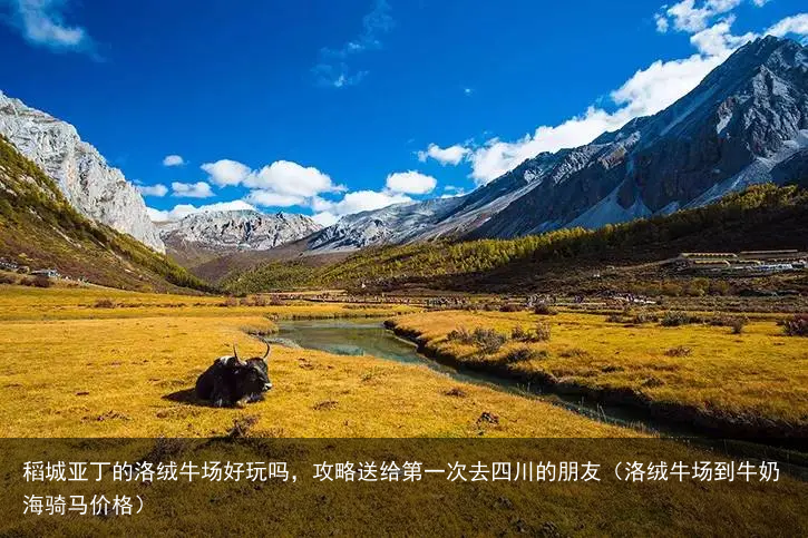 稻城亚丁的洛绒牛场好玩吗，攻略送给第一次去四川的朋友（洛绒牛场到牛奶海骑马价格）