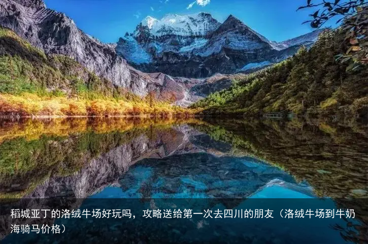 稻城亚丁的洛绒牛场好玩吗，攻略送给第一次去四川的朋友（洛绒牛场到牛奶海骑马价格）
