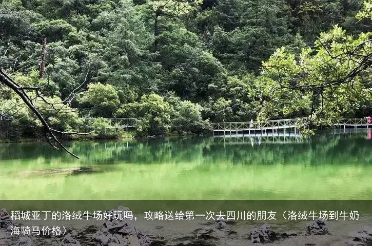 稻城亚丁的洛绒牛场好玩吗，攻略送给第一次去四川的朋友（洛绒牛场到牛奶海骑马价格）