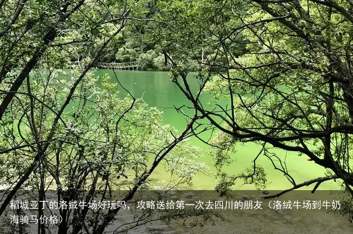 稻城亚丁的洛绒牛场好玩吗，攻略送给第一次去四川的朋友（洛绒牛场到牛奶海骑马价格）
