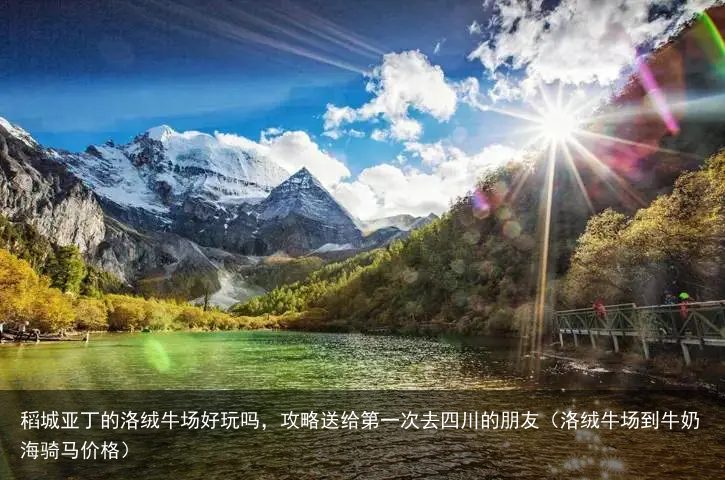 稻城亚丁的洛绒牛场好玩吗，攻略送给第一次去四川的朋友（洛绒牛场到牛奶海骑马价格）