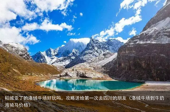 稻城亚丁的洛绒牛场好玩吗，攻略送给第一次去四川的朋友（洛绒牛场到牛奶海骑马价格）