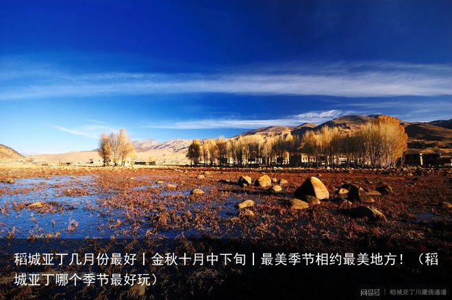 稻城亚丁几月份最好丨金秋十月中下旬丨最美季节相约最美地方！（稻城亚丁哪个季节最好玩）