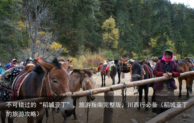 不可错过的“稻城亚丁”，旅游指南完整版，川西行必备（稻城亚丁的旅游攻略）