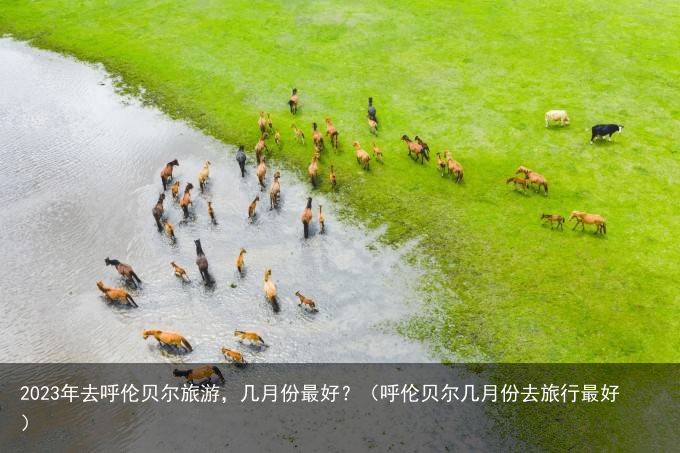 2023年去呼伦贝尔旅游，几月份最好？（呼伦贝尔几月份去旅行最好）