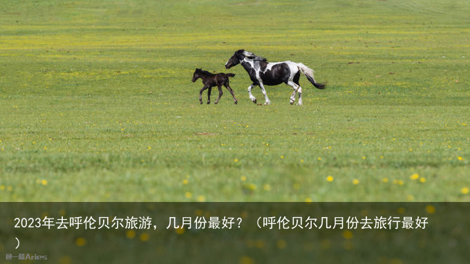 2023年去呼伦贝尔旅游，几月份最好？（呼伦贝尔几月份去旅行最好）
