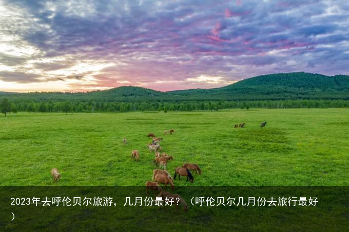 2023年去呼伦贝尔旅游，几月份最好？（呼伦贝尔几月份去旅行最好）