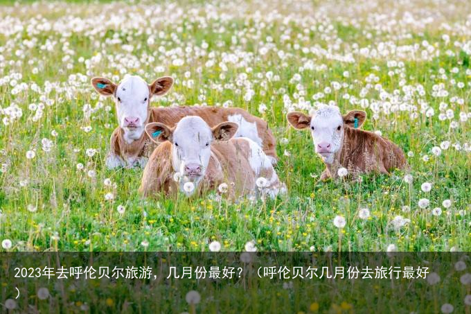 2023年去呼伦贝尔旅游，几月份最好？（呼伦贝尔几月份去旅行最好）