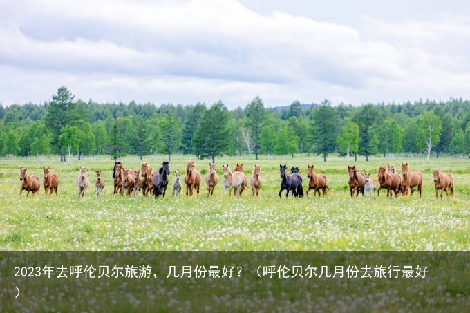 2023年去呼伦贝尔旅游，几月份最好？（呼伦贝尔几月份去旅行最好）