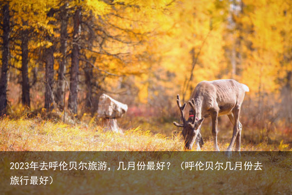 2023年去呼伦贝尔旅游，几月份最好？（呼伦贝尔几月份去旅行最好）