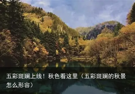 五彩斑斓上线！秋色看这里（五彩斑斓的秋景怎么形容）