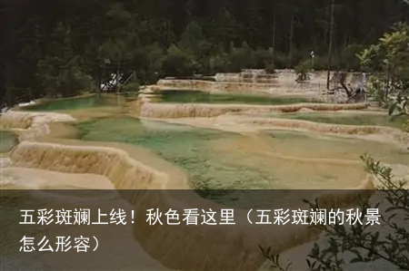 五彩斑斓上线！秋色看这里（五彩斑斓的秋景怎么形容）