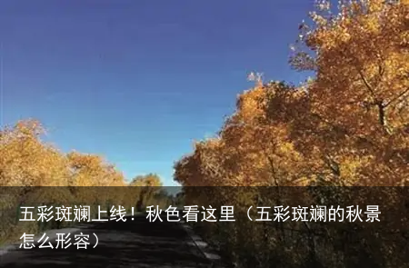 五彩斑斓上线！秋色看这里（五彩斑斓的秋景怎么形容）