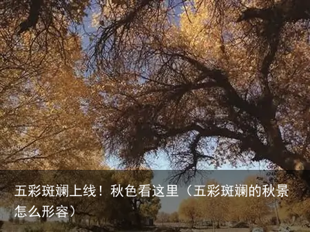 五彩斑斓上线！秋色看这里（五彩斑斓的秋景怎么形容）