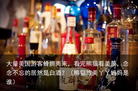大量美国游客蜂拥而来，看完熊猫看美景，念念不忘的居然是白酒？（熊猫旅美丫丫妈妈是谁）