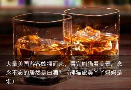 大量美国游客蜂拥而来，看完熊猫看美景，念念不忘的居然是白酒？（熊猫旅美丫丫妈妈是谁）
