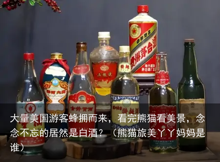 大量美国游客蜂拥而来，看完熊猫看美景，念念不忘的居然是白酒？（熊猫旅美丫丫妈妈是谁）