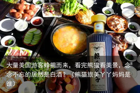 大量美国游客蜂拥而来，看完熊猫看美景，念念不忘的居然是白酒？（熊猫旅美丫丫妈妈是谁）