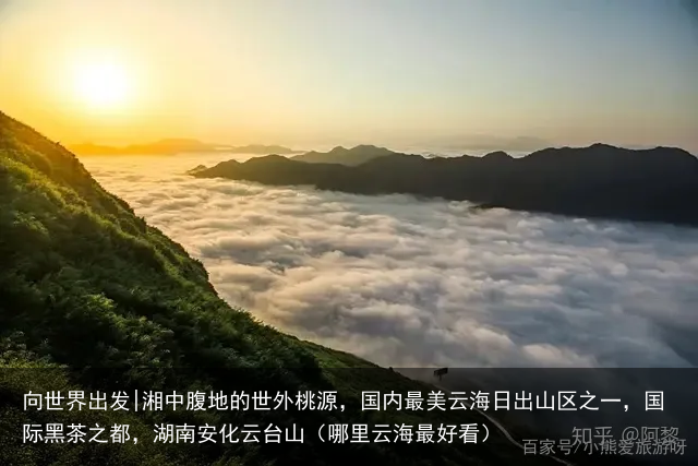 向世界出发|湘中腹地的世外桃源，国内最美云海日出山区之一，国际黑茶之都，湖南安化云台山（哪里云海最好看）