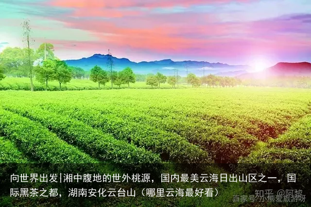 向世界出发|湘中腹地的世外桃源，国内最美云海日出山区之一，国际黑茶之都，湖南安化云台山（哪里云海最好看）