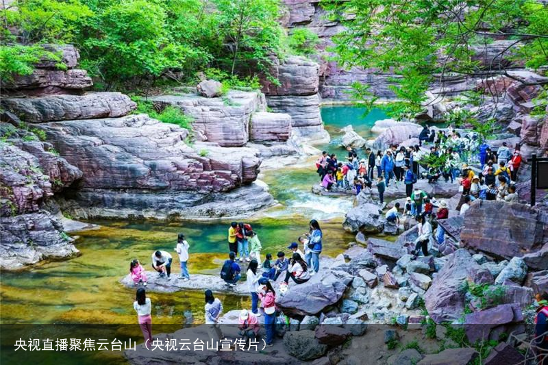 央视直播聚焦云台山（央视云台山宣传片）