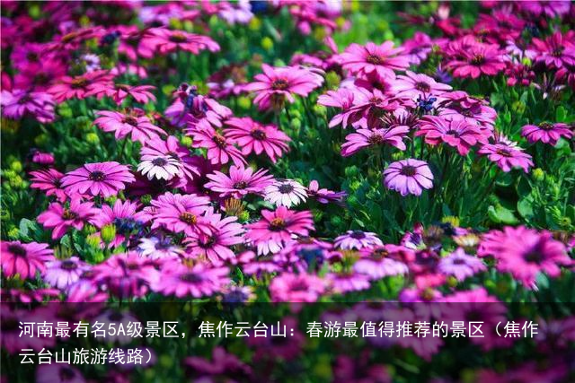 河南最有名5A级景区，焦作云台山：春游最值得推荐的景区（焦作云台山旅游线路）