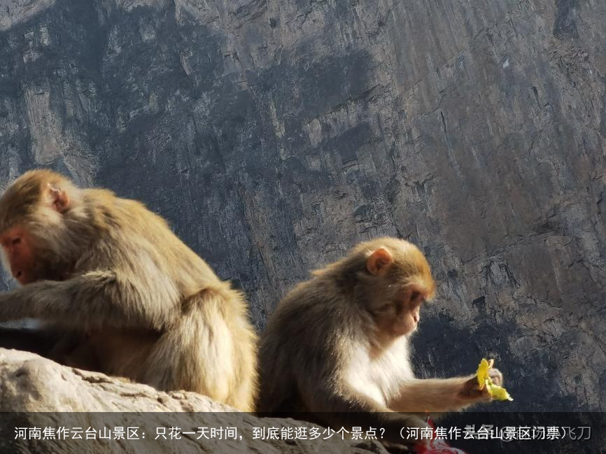 河南焦作云台山景区：只花一天时间，到底能逛多少个景点？（河南焦作云台山景区门票）