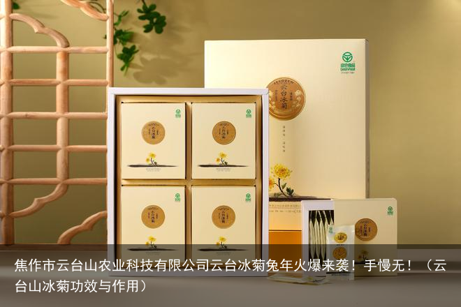 焦作市云台山农业科技有限公司云台冰菊兔年火爆来袭！手慢无！（云台山冰菊功效与作用）