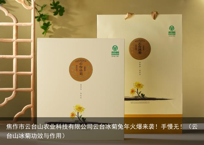 焦作市云台山农业科技有限公司云台冰菊兔年火爆来袭！手慢无！（云台山冰菊功效与作用）