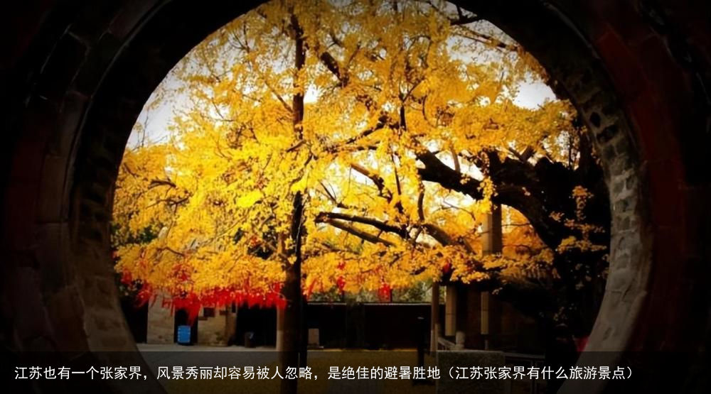 江苏也有一个张家界，风景秀丽却容易被人忽略，是绝佳的避暑胜地（江苏张家界有什么旅游景点）