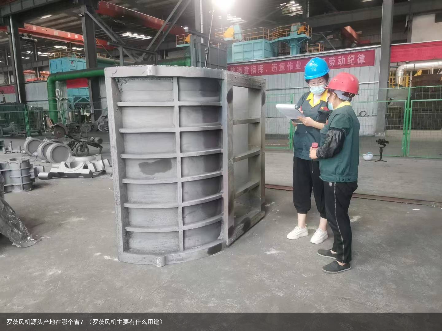 罗茨风机源头产地在哪个省？（罗茨风机主要有什么用途）